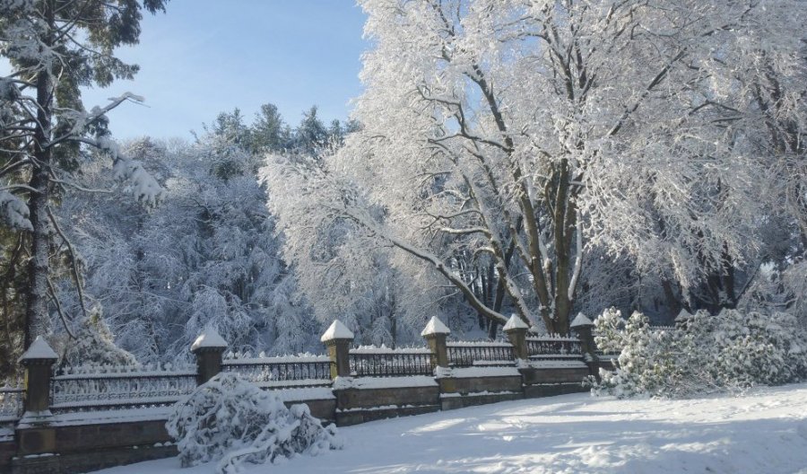 Forest Hills Cemetery in the snow