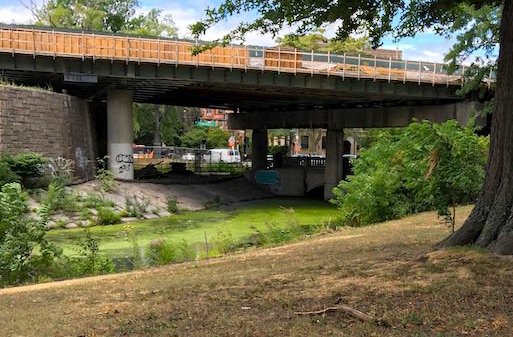 Muddy River in a drought