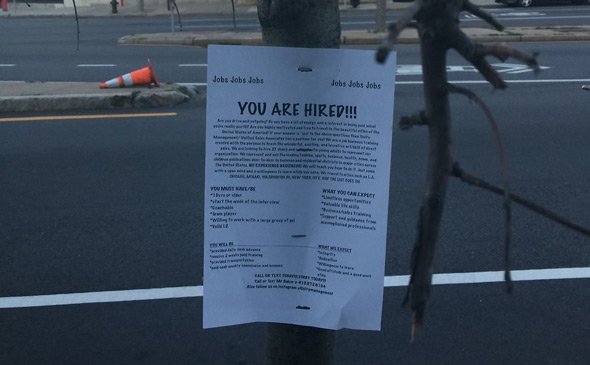 Ad stapled to tree