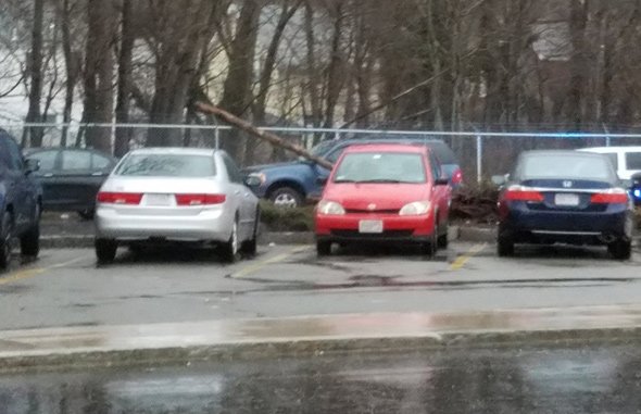 Oak tree falls on SUV in Malden