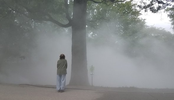 The Fog