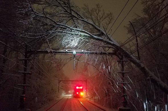 Tree on wires on the Riverside Line