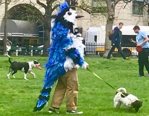 Big bird on Boston Common