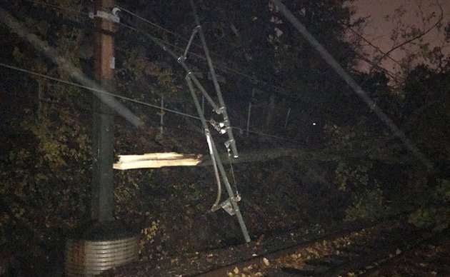 Downed tree in Chestnut Hill on the Green Line tracks