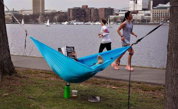 Hammock on the Esplanade