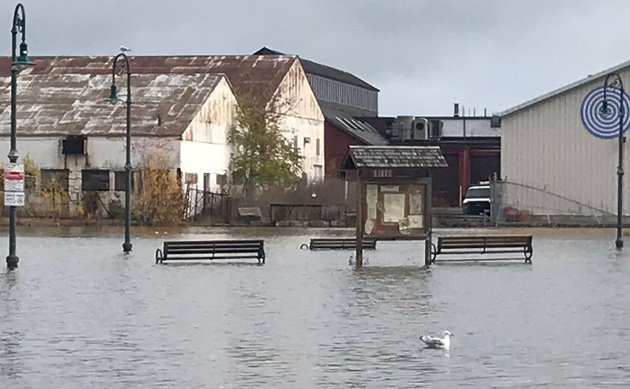 King Tide at Tenean Beach in Dorchester