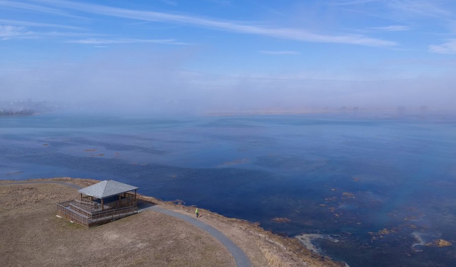 Fog seen from Belle Isle Marsh