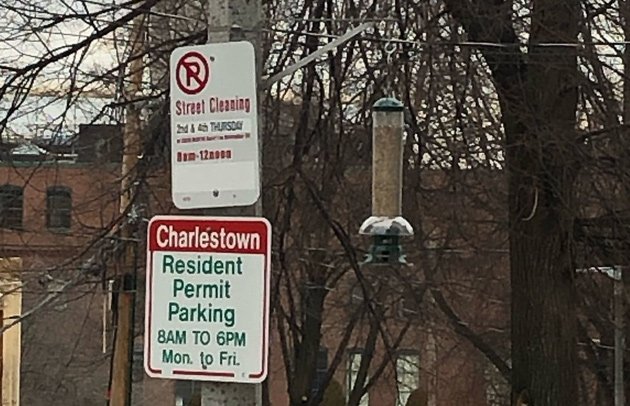 Bird feeder attached to city pole