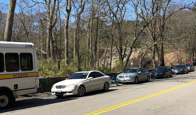 Parking at the Arboretum on Bussey Street