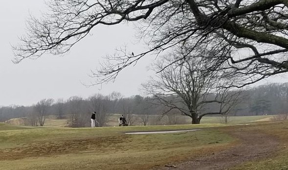 Guy hitting golf balls at Franklin Park