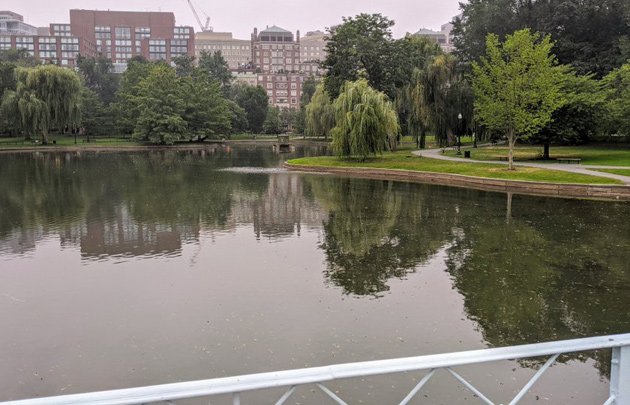 New water in Public Garden Lagoon