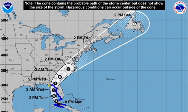 Elsa cone map