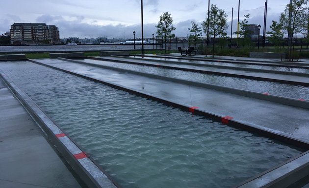 Flooded bocce courts in the North End