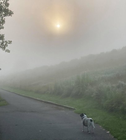 Hazy start to the day at Millennium Park