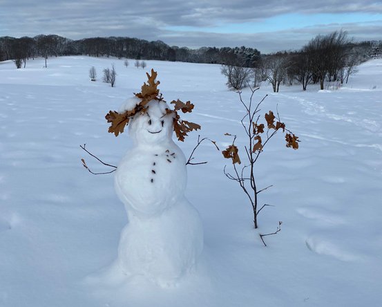 Snowwoman in Franklin Park