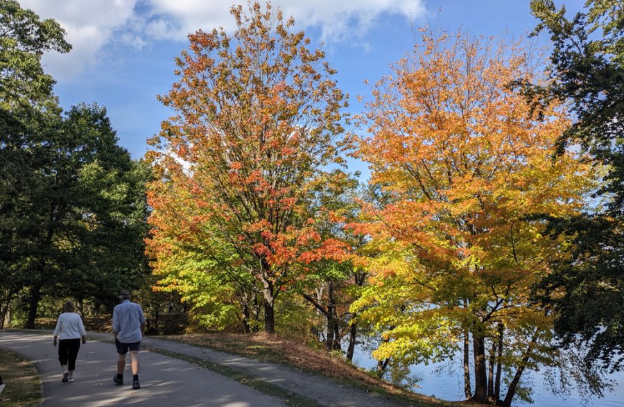 Colorful trees at Jamaica Pond