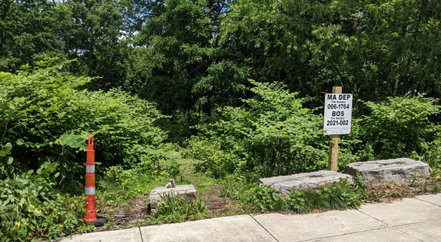 Entrance to Roslindale Wetlands on Coniston Road