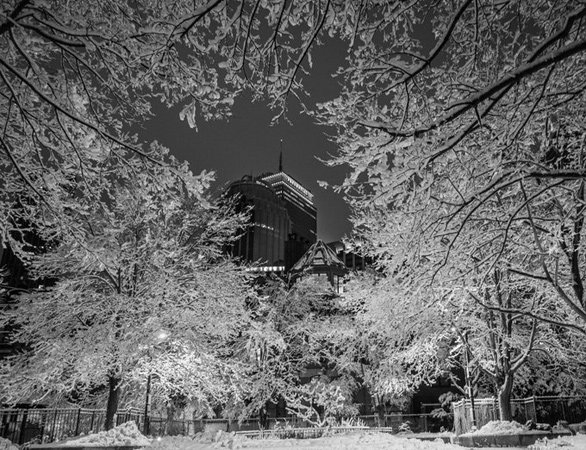 Prudential building through snow-covered trees