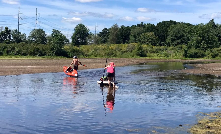 Wading through the Charles River