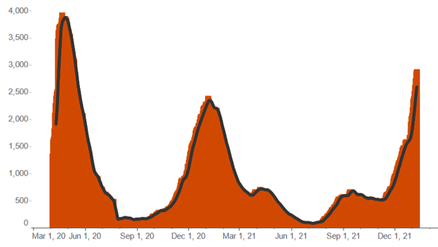 Chart showing daily hospitalization numbers for Covid-19 patients since the start of the pandemic