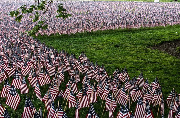 Memorial Day flags on Boston Common