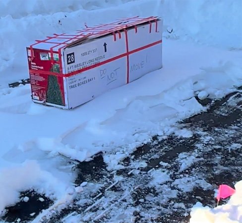 Christmas-tree space saver in Jamaica Plain