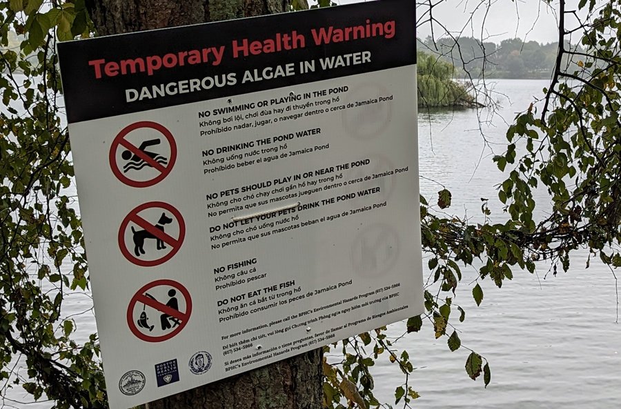 Sign at Jamaica Pond warning people not to drink or go in the water