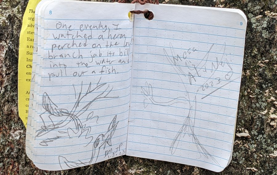 Notebook entry remembering the time a heron was there and caught a fish