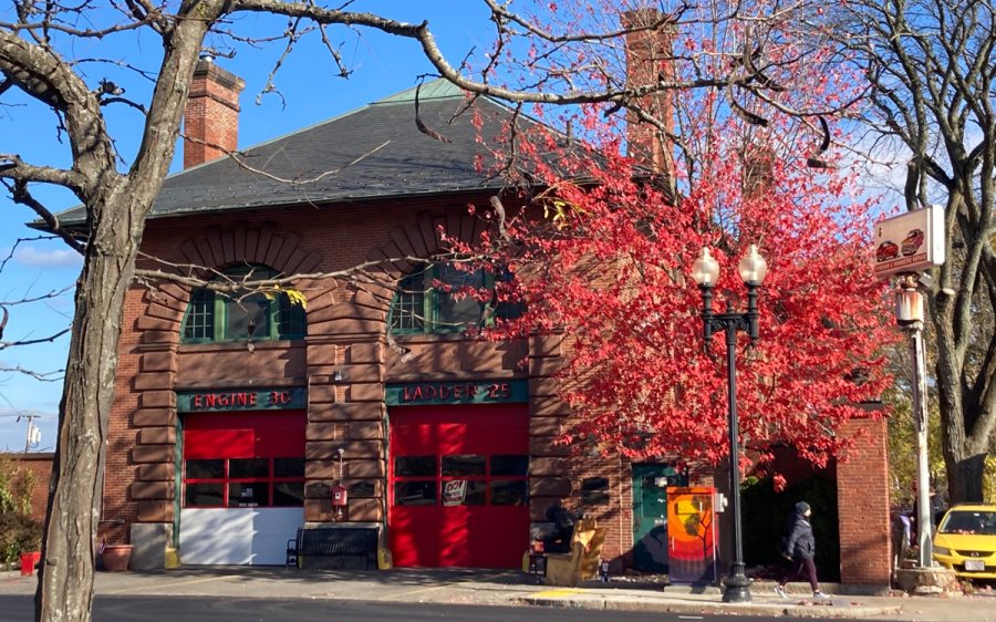 Red tree next to West Roxbury firehouse