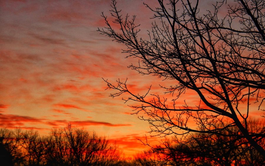 Sunrise over Franklin Park