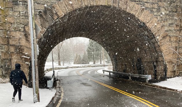 Snowy Arboretum just past the Archdale bridge