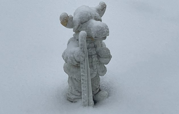 Accumoose showing less than two inches of snow in North Cambridge