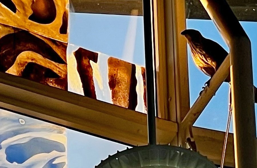 Raptor inside the Airport Blue Line station