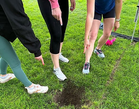 Hole pointers in Christopher Columbus Park