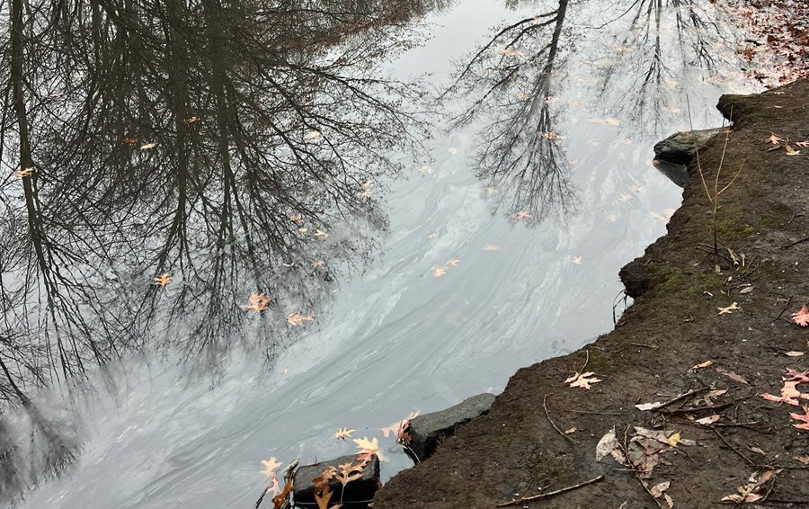 Oil sheen on the Muddy River near the Gardner Museum