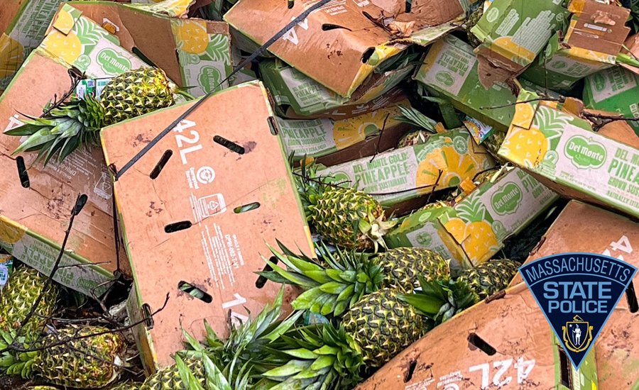 Dumped pineapples by the side of the road