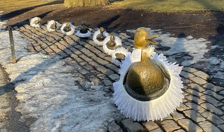 Mrs. Mallard and her ducklings in tutus