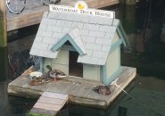 Duck house on Boston Harbor