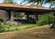 Muddy River in a drought