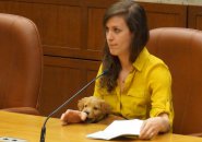 Hope the dog at Boston City Council hearing on puppy mills