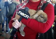 Talk show host with a rabbit