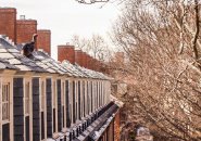 Turkey at Harvard University