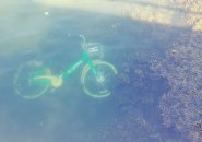 Rental bike in the water off East Boston
