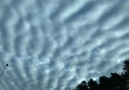 Mackerel sky over Boston