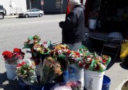 Mr. Mahoney selling flowers out of his van on Old Colony Avenue