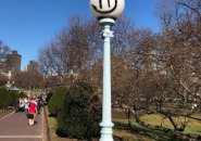 Defaced light pole in the Public Garden