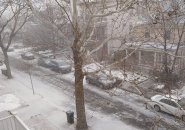 Snow in West Somerville