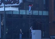 Guy climbing a really tiny tree along the waterfront