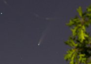Comet Neowise as seen from Jamaica Pond