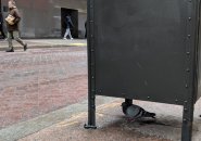 Pigeon downtown